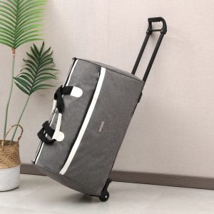 Travel tote with wheels